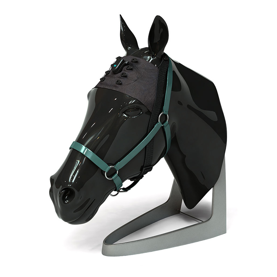 Horse wearing a g.tec Unicorn EEG cap